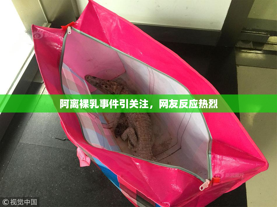 阿离裸乳事件引关注，网友反应热烈