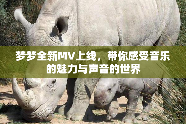 梦梦全新MV上线，带你感受音乐的魅力与声音的世界