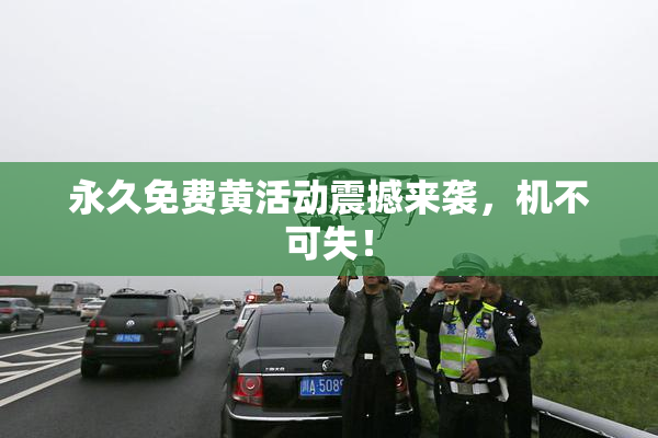永久免费黄活动震撼来袭，机不可失！