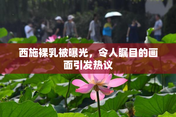 西施裸乳被曝光，令人瞩目的画面引发热议
