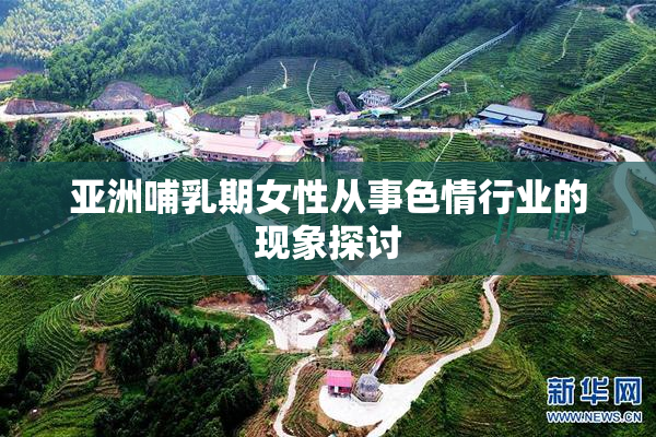 亚洲哺乳期女性从事色情行业的现象探讨