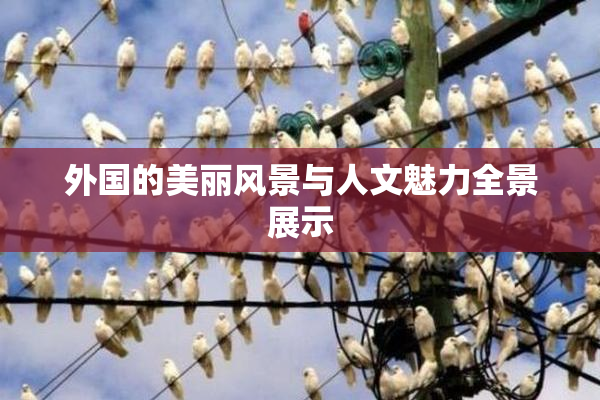 外国的美丽风景与人文魅力全景展示