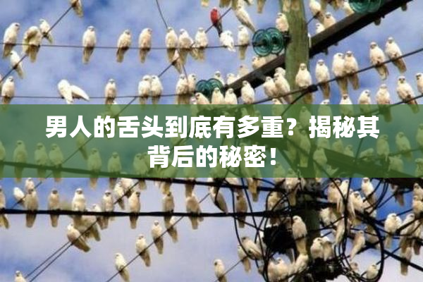 男人的舌头到底有多重？揭秘其背后的秘密！