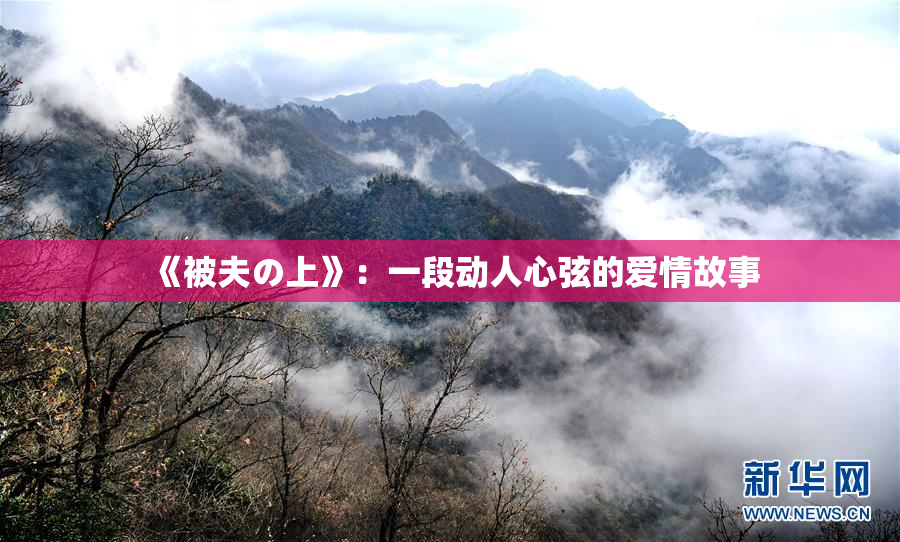 《被夫の上》：一段动人心弦的爱情故事