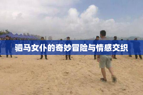 驷马女仆的奇妙冒险与情感交织