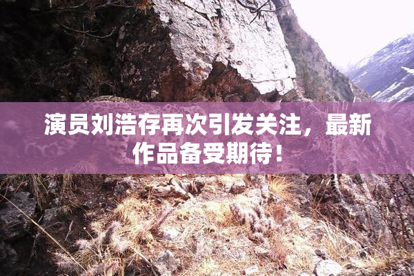 演员刘浩存再次引发关注，最新作品备受期待！