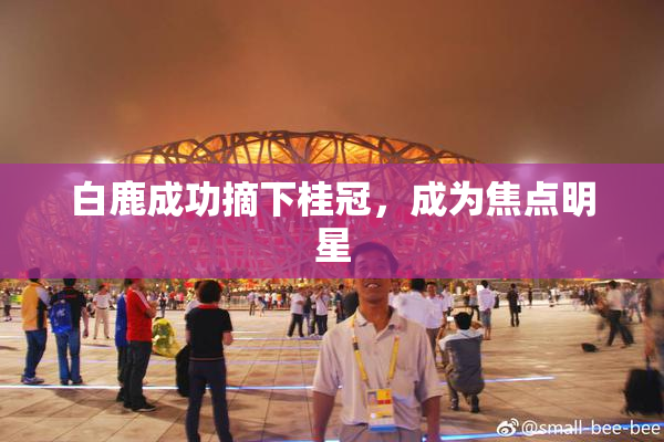 白鹿成功摘下桂冠，成为焦点明星