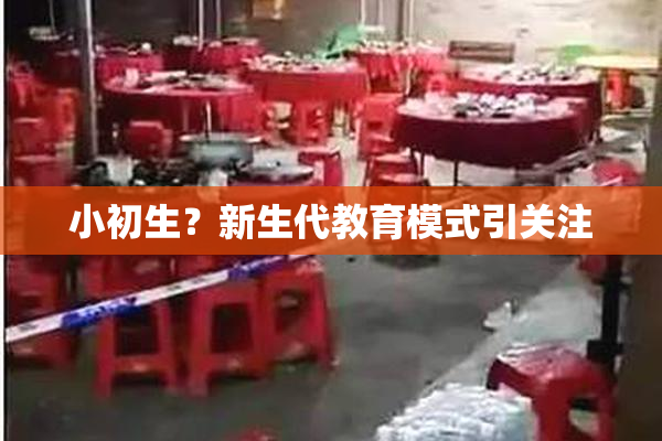 小初生？新生代教育模式引关注