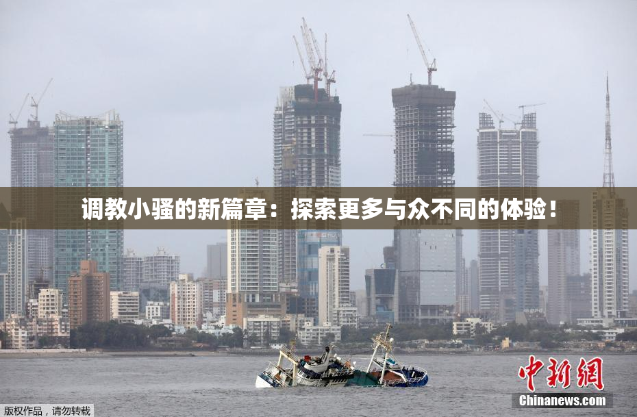 调教小骚的新篇章：探索更多与众不同的体验！