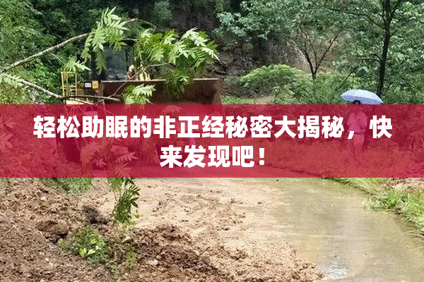 轻松助眠的非正经秘密大揭秘，快来发现吧！