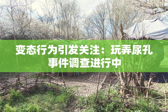 变态行为引发关注：玩弄尿孔事件调查进行中