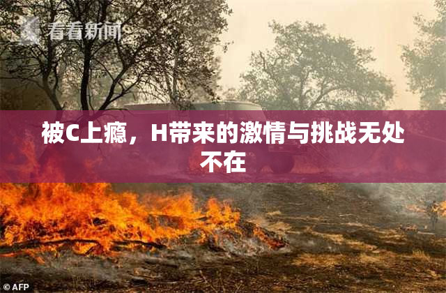 被C上瘾，H带来的激情与挑战无处不在