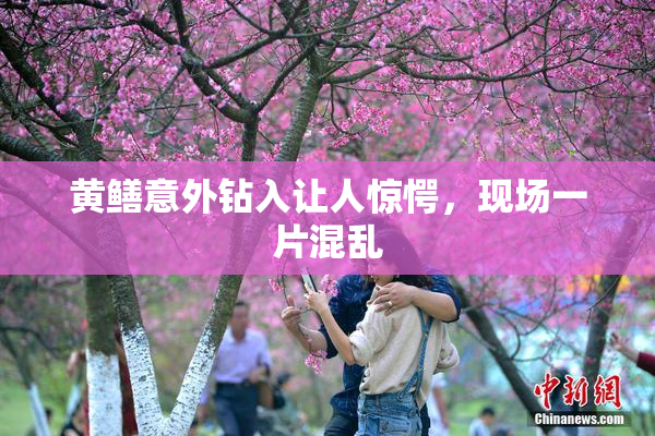 黄鳝意外钻入让人惊愕，现场一片混乱