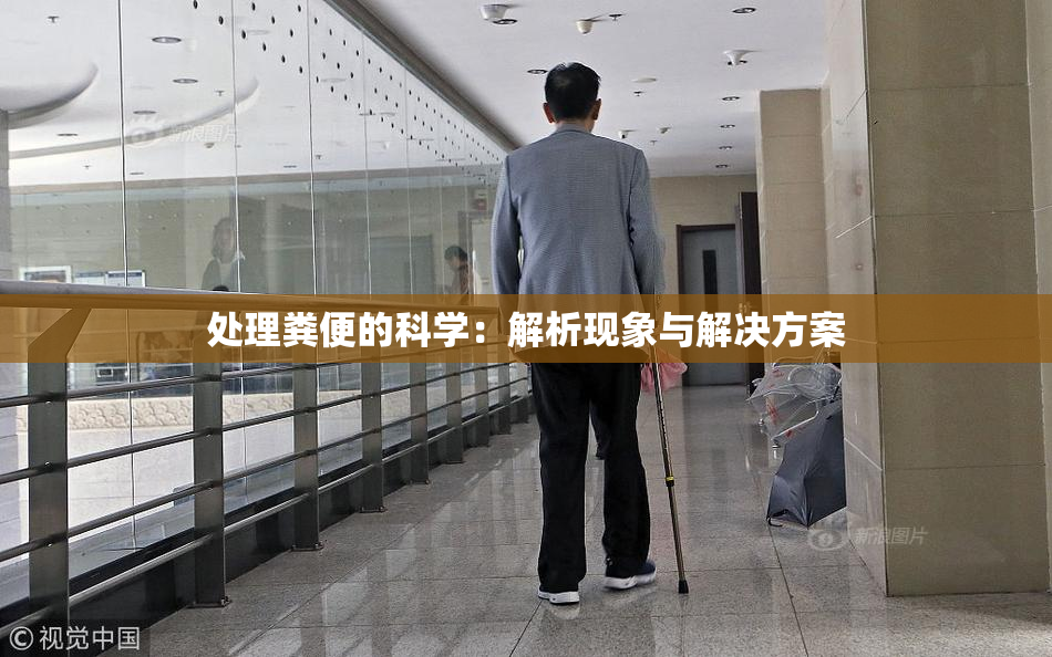 处理粪便的科学：解析现象与解决方案