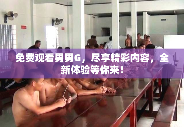 免费观看男男G，尽享精彩内容，全新体验等你来！