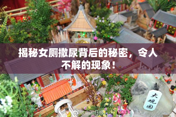 揭秘女厕撒尿背后的秘密，令人不解的现象！