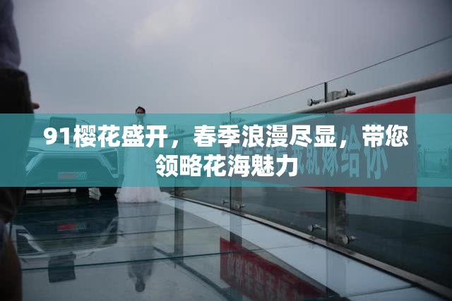 91樱花盛开，春季浪漫尽显，带您领略花海魅力