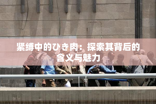 紧缚中的ひき肉：探索其背后的含义与魅力