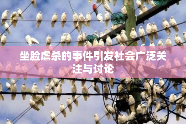 坐脸虐杀的事件引发社会广泛关注与讨论