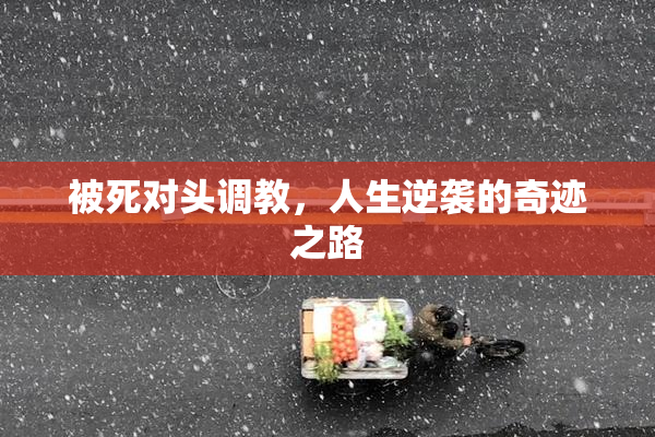 被死对头调教，人生逆袭的奇迹之路