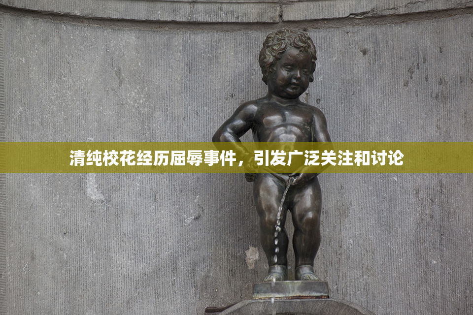 清纯校花经历屈辱事件，引发广泛关注和讨论