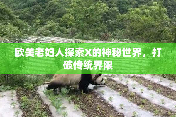 欧美老妇人探索X的神秘世界，打破传统界限