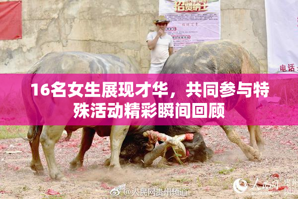 16名女生展现才华，共同参与特殊活动精彩瞬间回顾