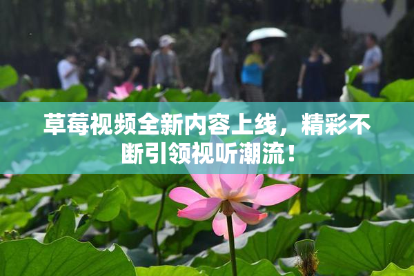 草莓视频全新内容上线，精彩不断引领视听潮流！