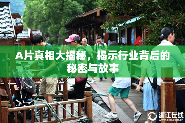 A片真相大揭秘，揭示行业背后的秘密与故事