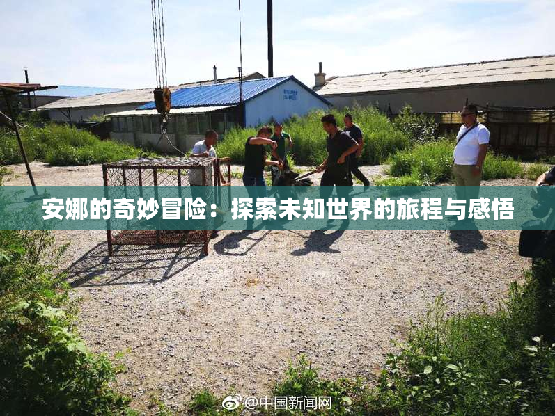 安娜的奇妙冒险：探索未知世界的旅程与感悟