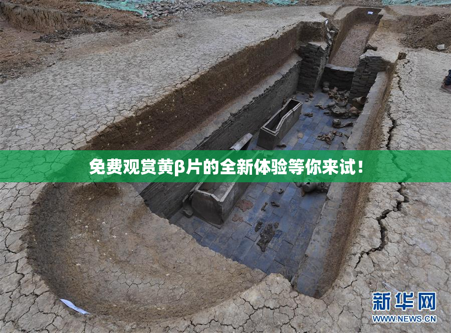 免费观赏黄β片的全新体验等你来试！