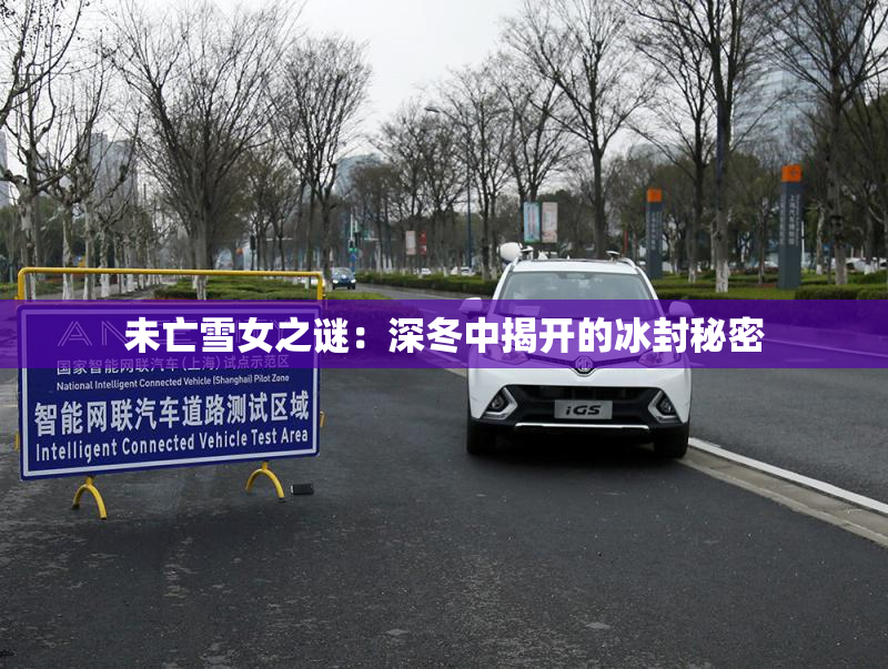 未亡雪女之谜：深冬中揭开的冰封秘密