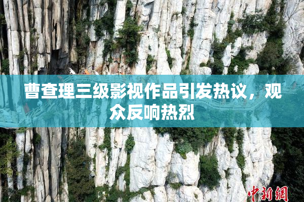 曹查理三级影视作品引发热议，观众反响热烈