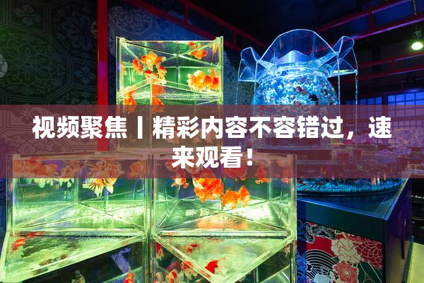视频聚焦丨精彩内容不容错过，速来观看！