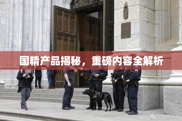 国精产品揭秘，重磅内容全解析