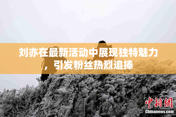 刘亦在最新活动中展现独特魅力，引发粉丝热烈追捧