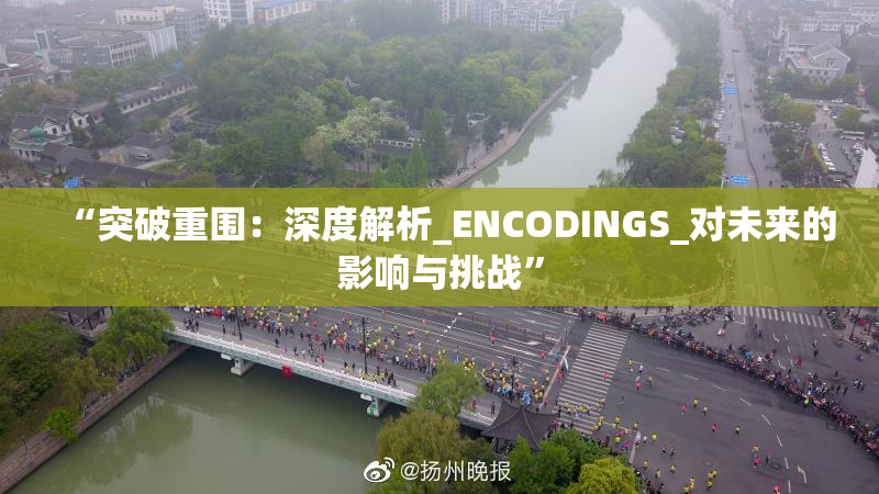 “突破重围：深度解析_ENCODINGS_对未来的影响与挑战”