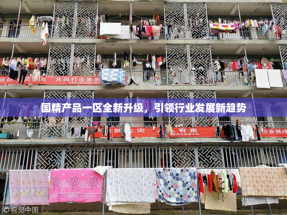 国精产品一区全新升级，引领行业发展新趋势