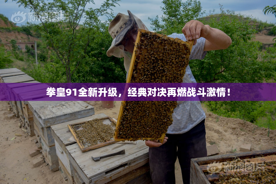 拳皇91全新升级，经典对决再燃战斗激情！