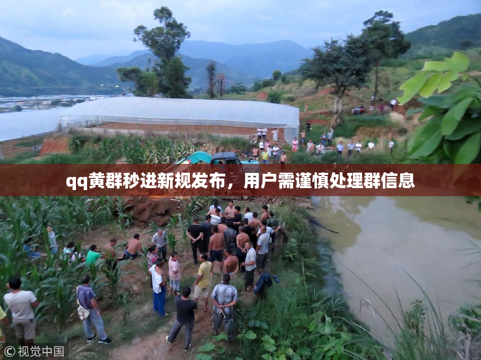 qq黄群秒进新规发布，用户需谨慎处理群信息