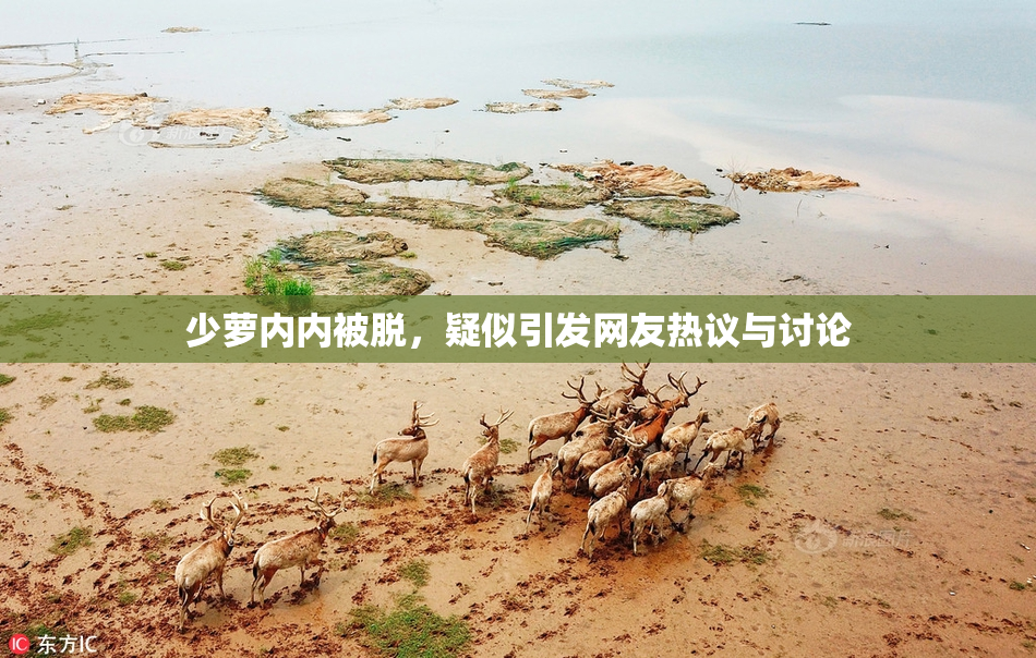 少萝内内被脱，疑似引发网友热议与讨论