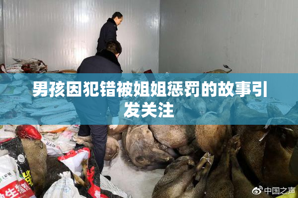 男孩因犯错被姐姐惩罚的故事引发关注