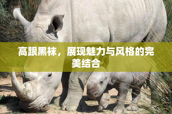 高跟黑袜，展现魅力与风格的完美结合