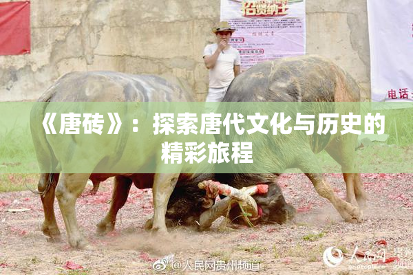 《唐砖》：探索唐代文化与历史的精彩旅程