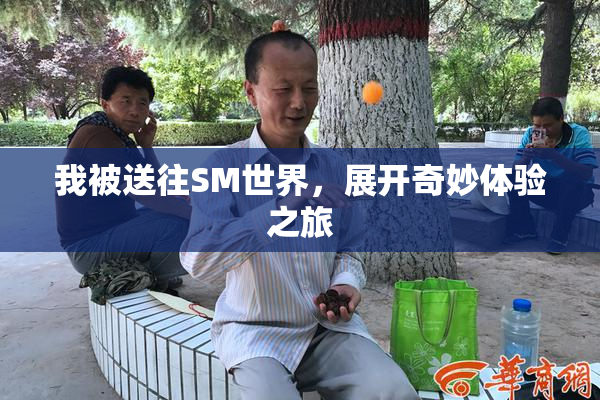 我被送往SM世界，展开奇妙体验之旅