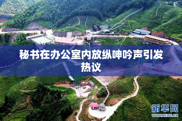 秘书在办公室内放纵呻吟声引发热议