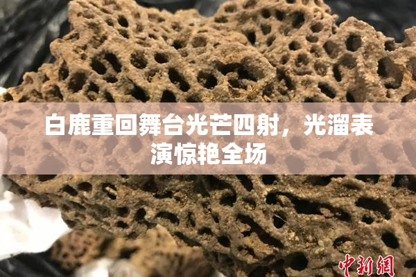 白鹿重回舞台光芒四射，光溜表演惊艳全场