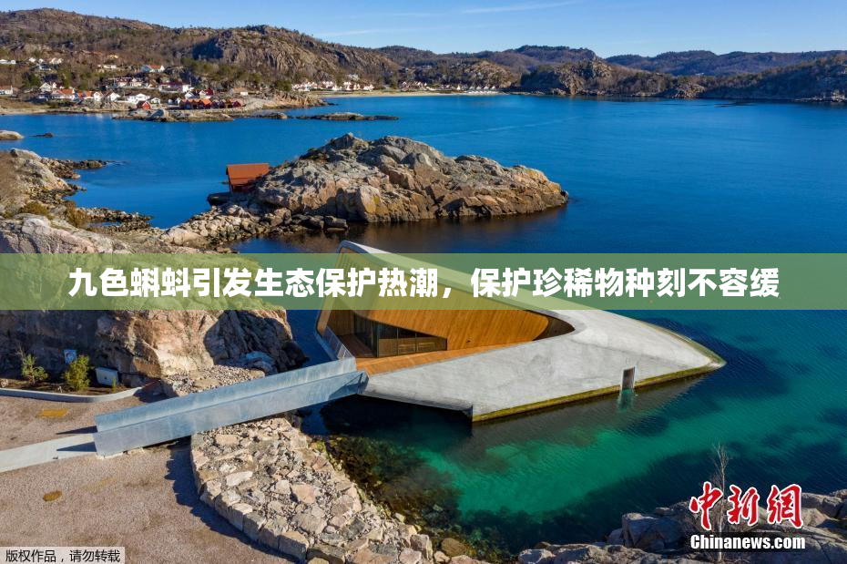 九色蝌蚪引发生态保护热潮，保护珍稀物种刻不容缓