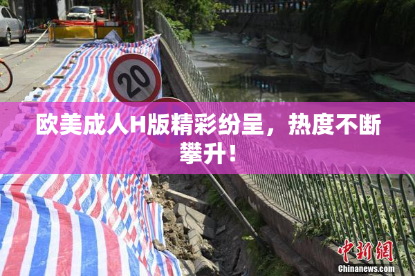 欧美成人H版精彩纷呈，热度不断攀升！