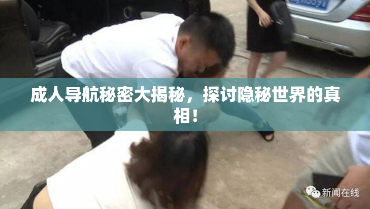 成人导航秘密大揭秘，探讨隐秘世界的真相！